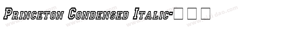 Princeton Condensed Italic字体转换
